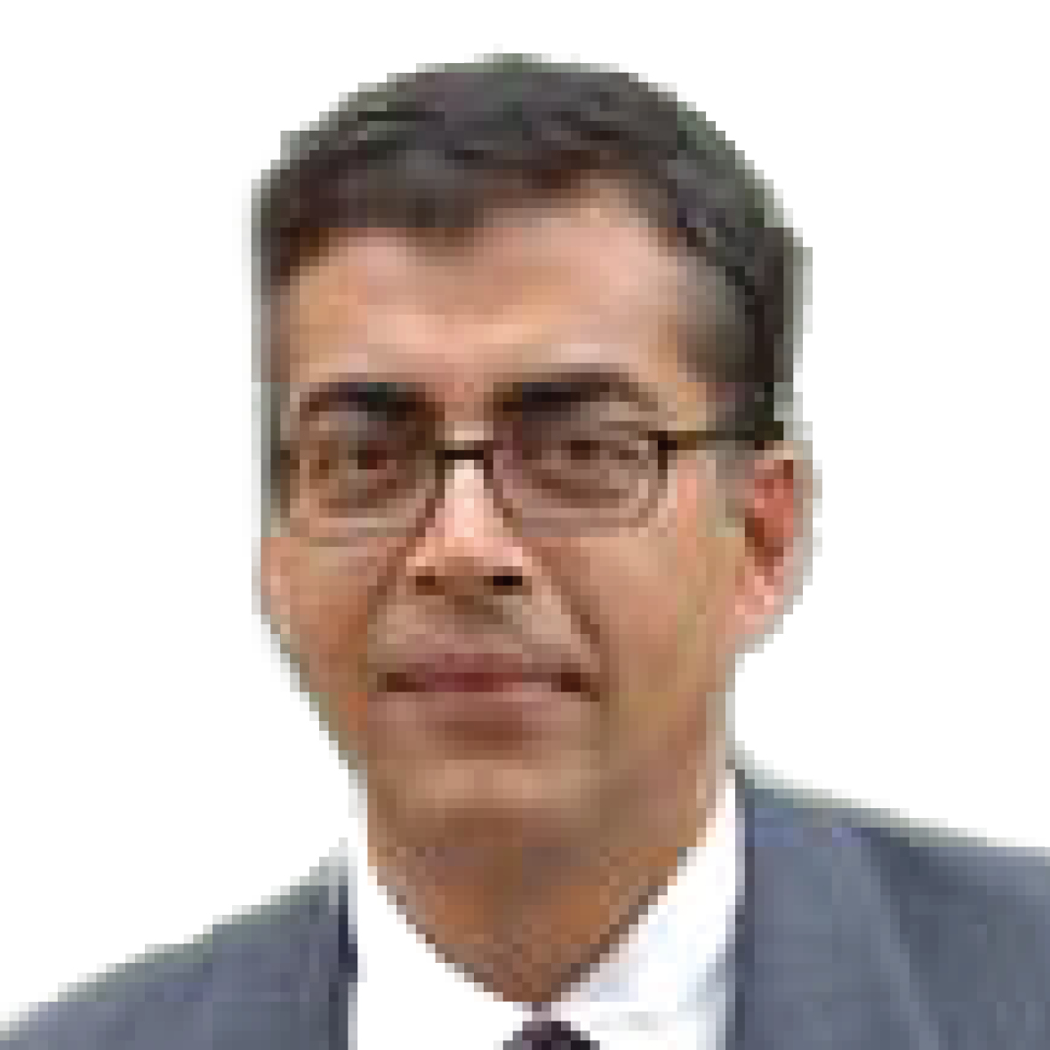 Pankaj Ghemawat, Professor of Strategy Management, IESE Business School, Spain